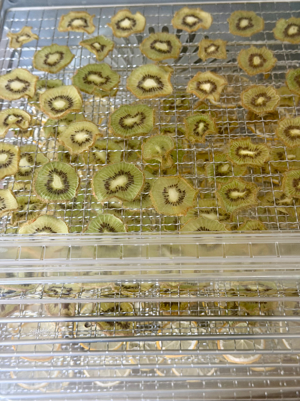 Kiwi - Fruit déshydratée