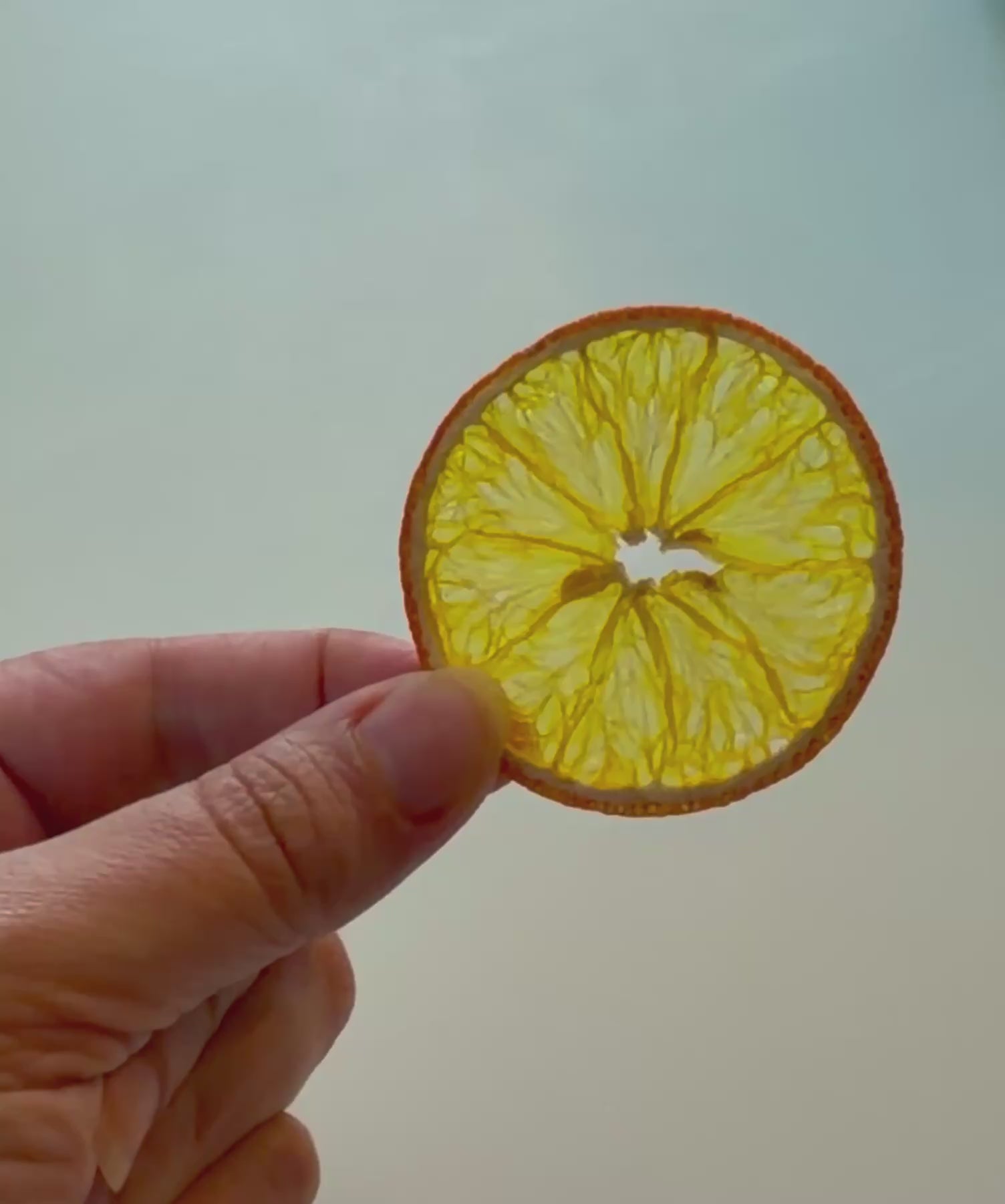 Citrons -Fruit déshydratée