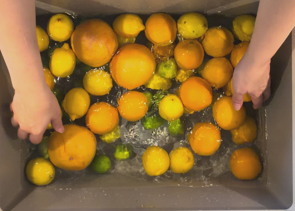 Orange - Fruit déshydratée