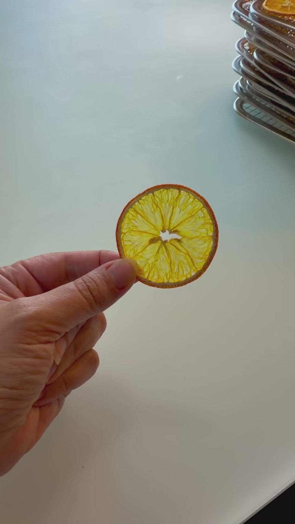 Orange - Fruit déshydratée
