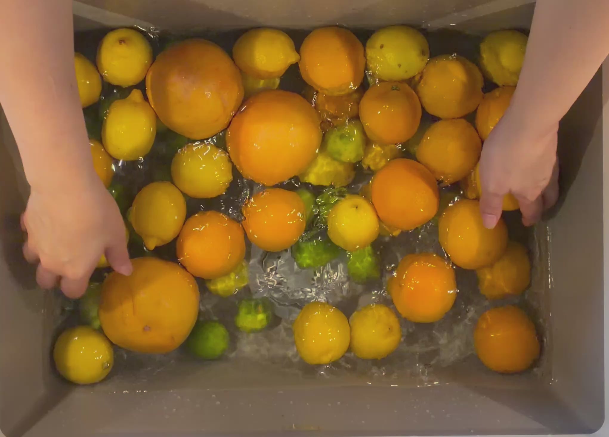Citrons -Fruit déshydratée